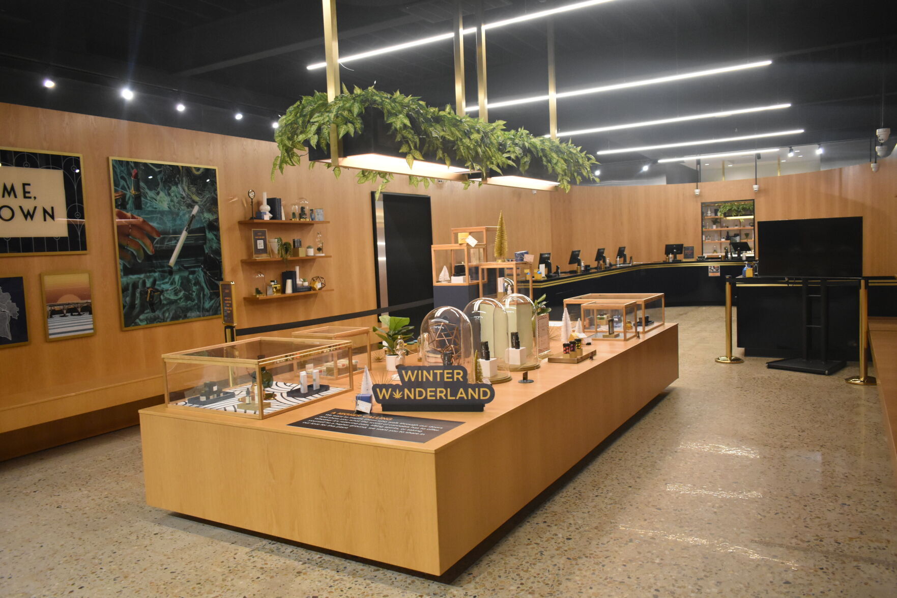 Cannabist show area